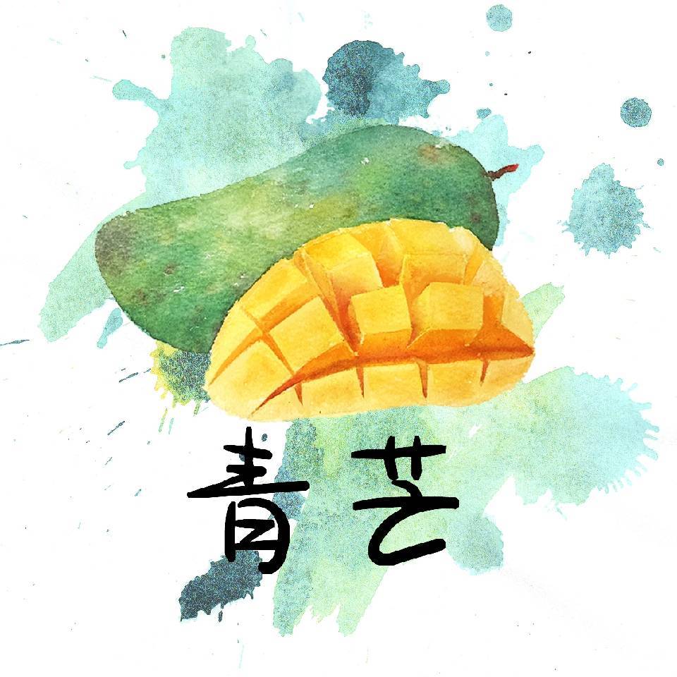 创客匠人-青芒