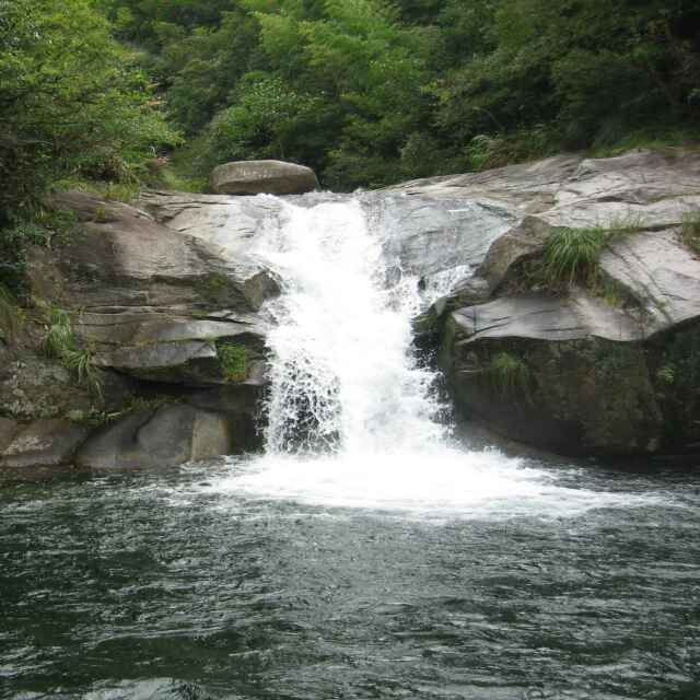 用戶頭像