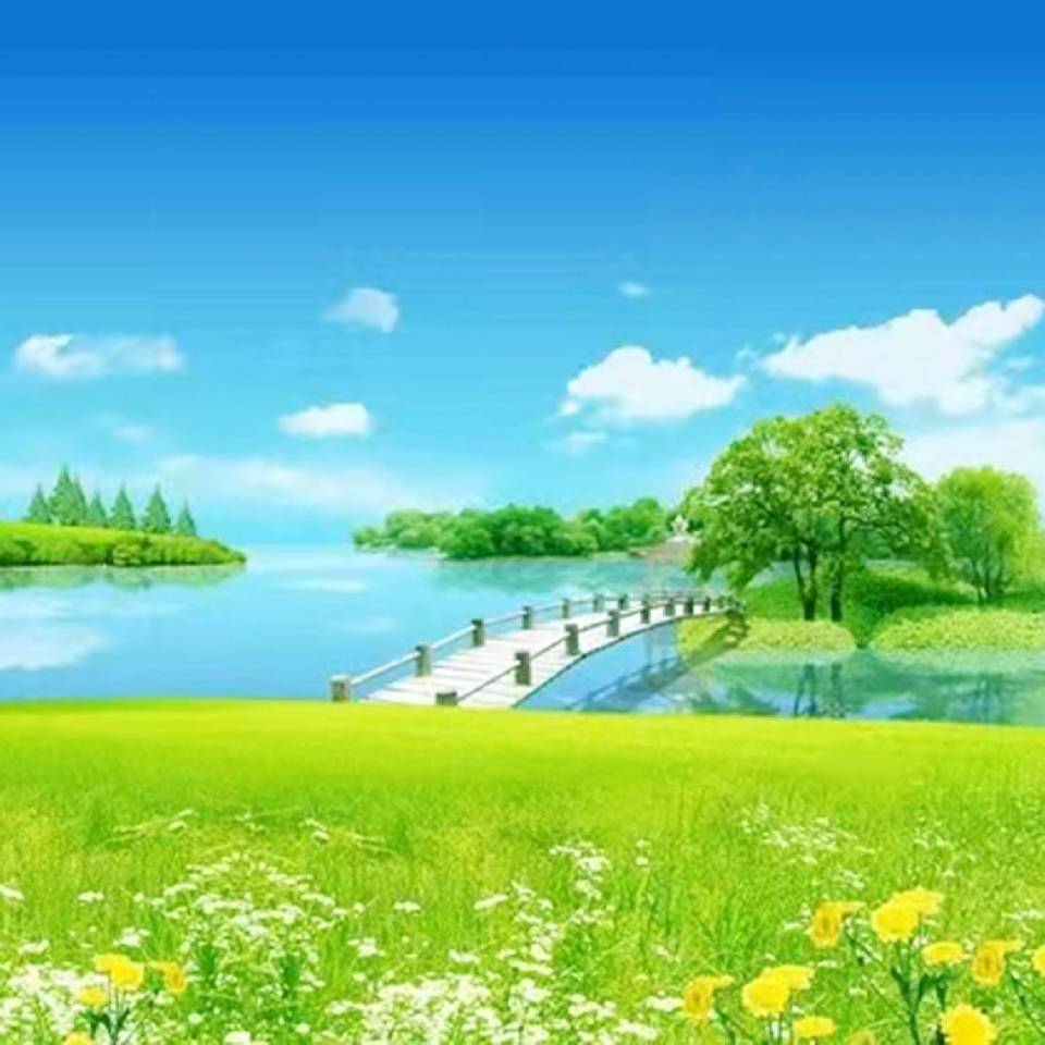 用戶頭像