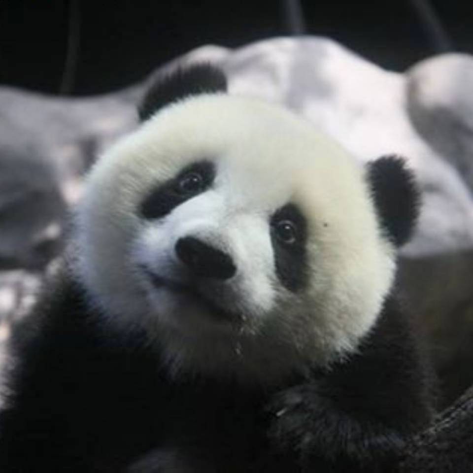 善于学习就是善于进步