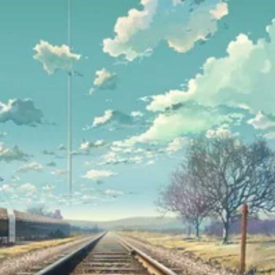 琴