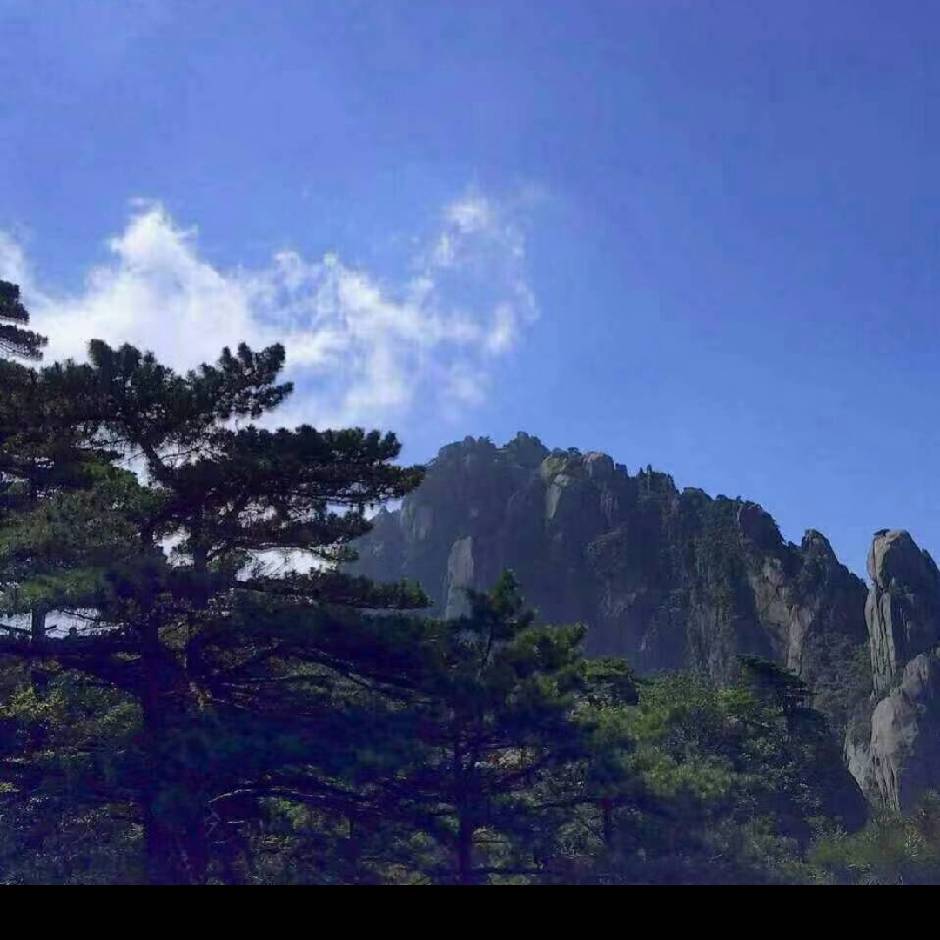 用戶(hù)頭像
