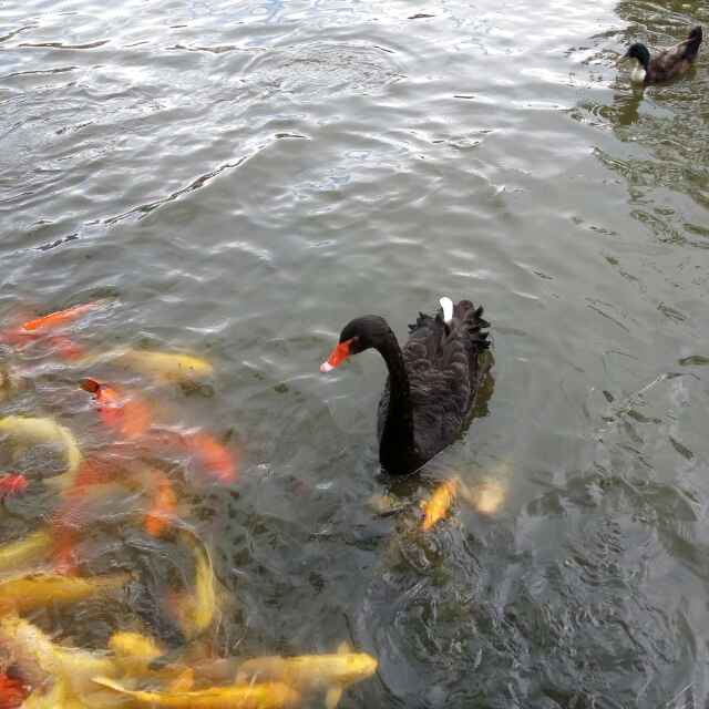 雨1依然😒😒😒🎻🇨🇳