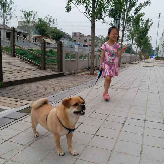董辉