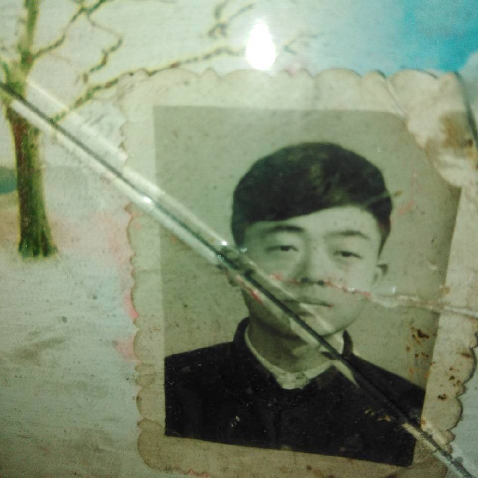 龙