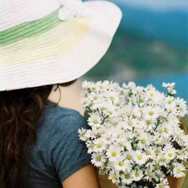 清风徐来💐💐💐