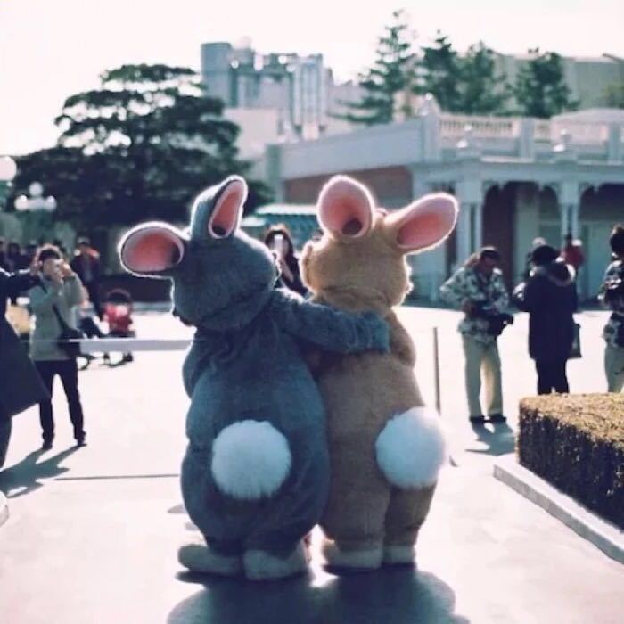 宋乔