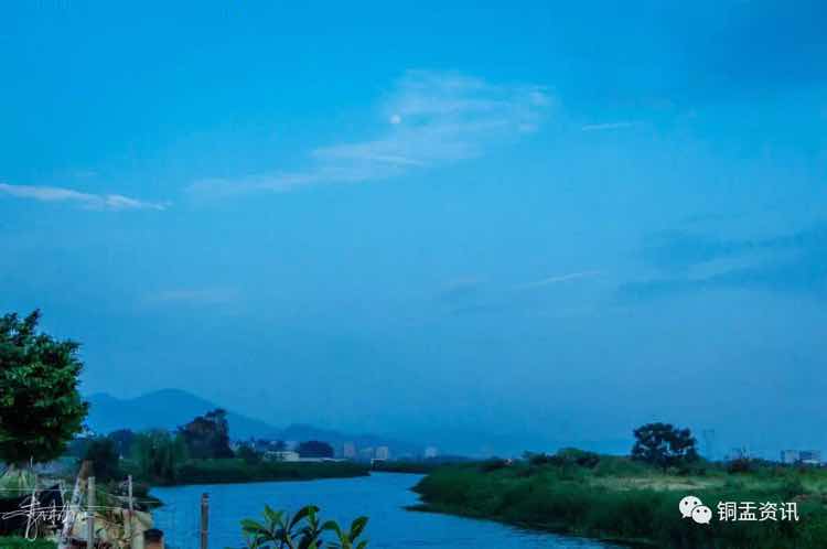 集百益（林宝鸿）