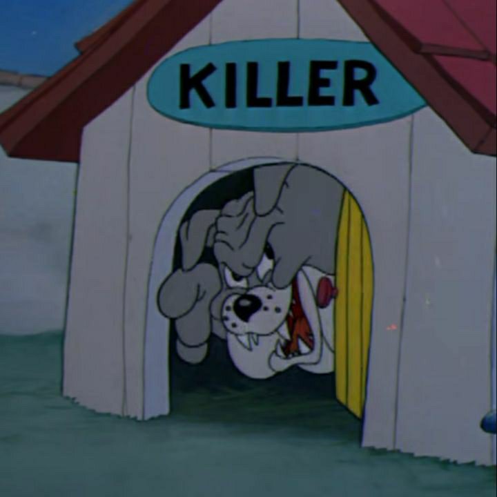 大大大大大志洪🌤