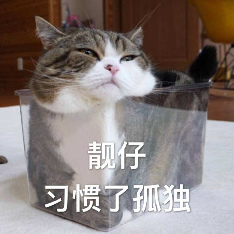 星回