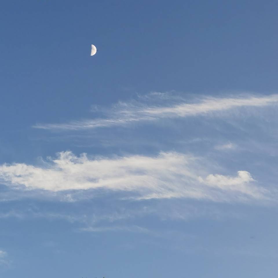 夏