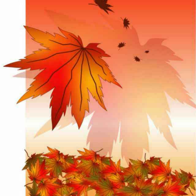 周盛友&陀螺科技