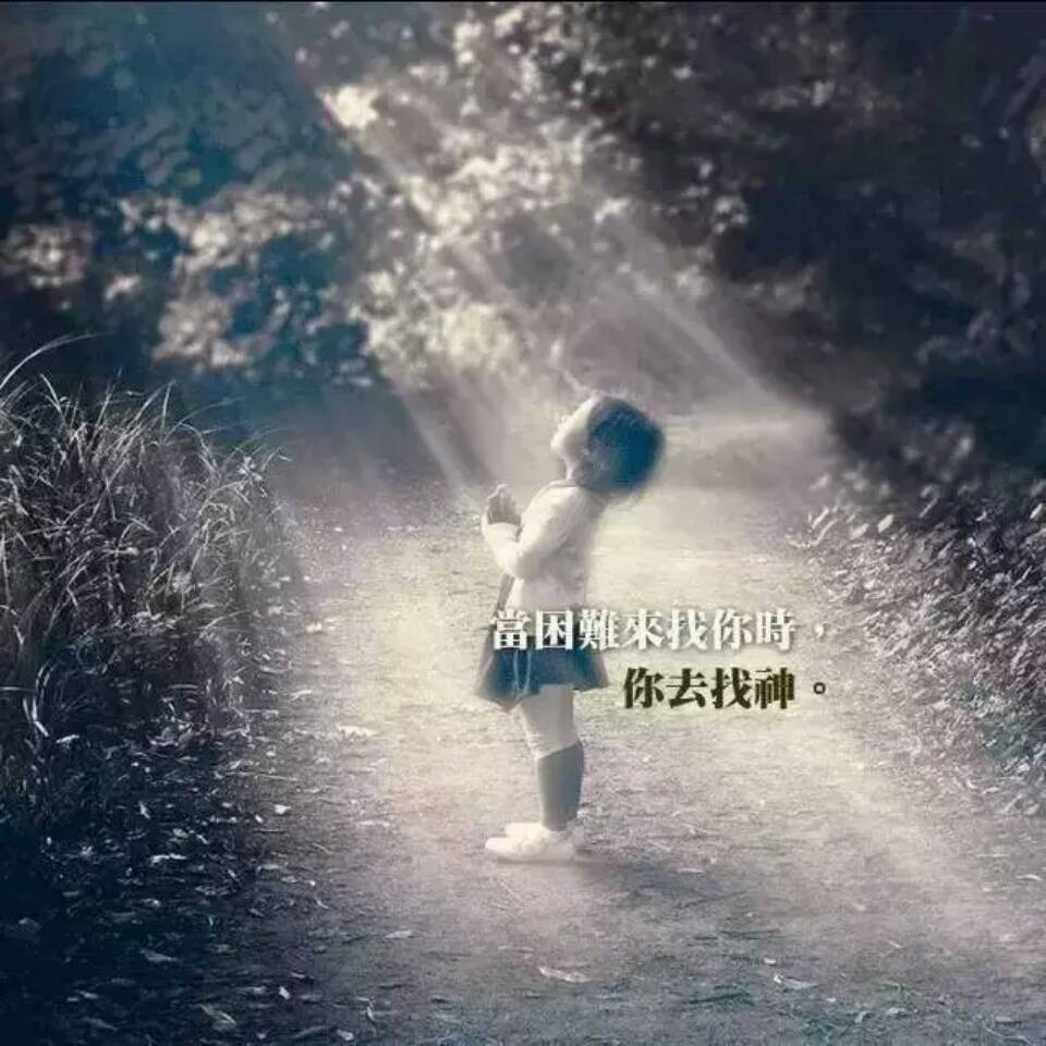 用戶頭像