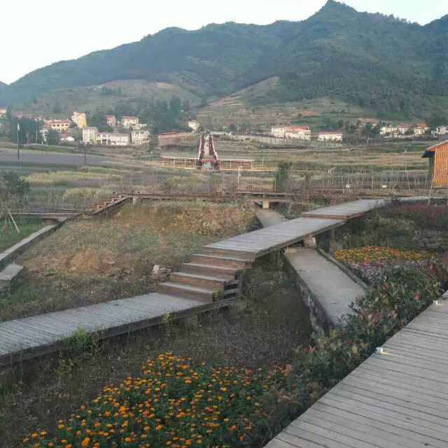 李德枝