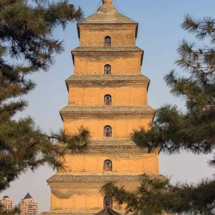杨梦达