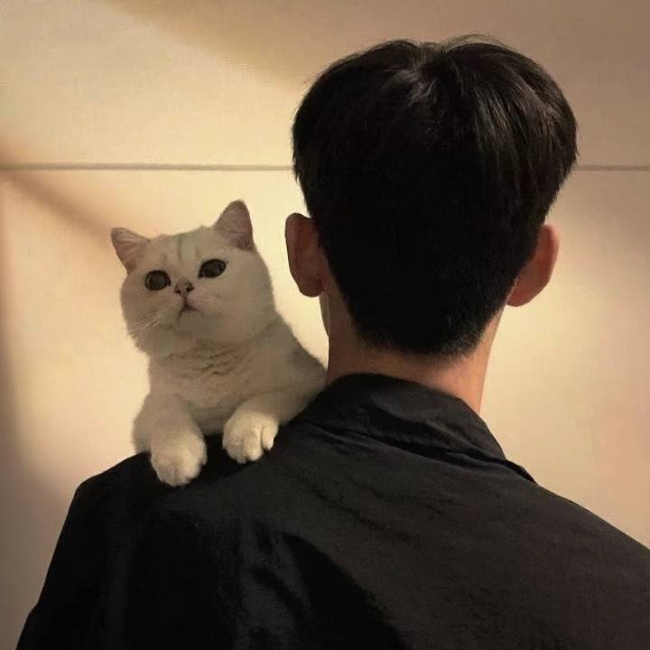 易灬心