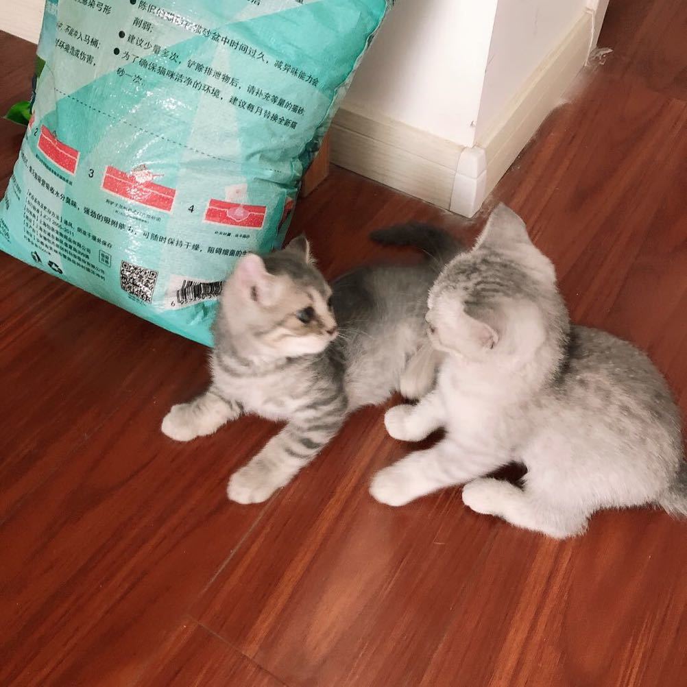 总有刁民想害朕的江山