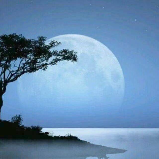 浮尘
