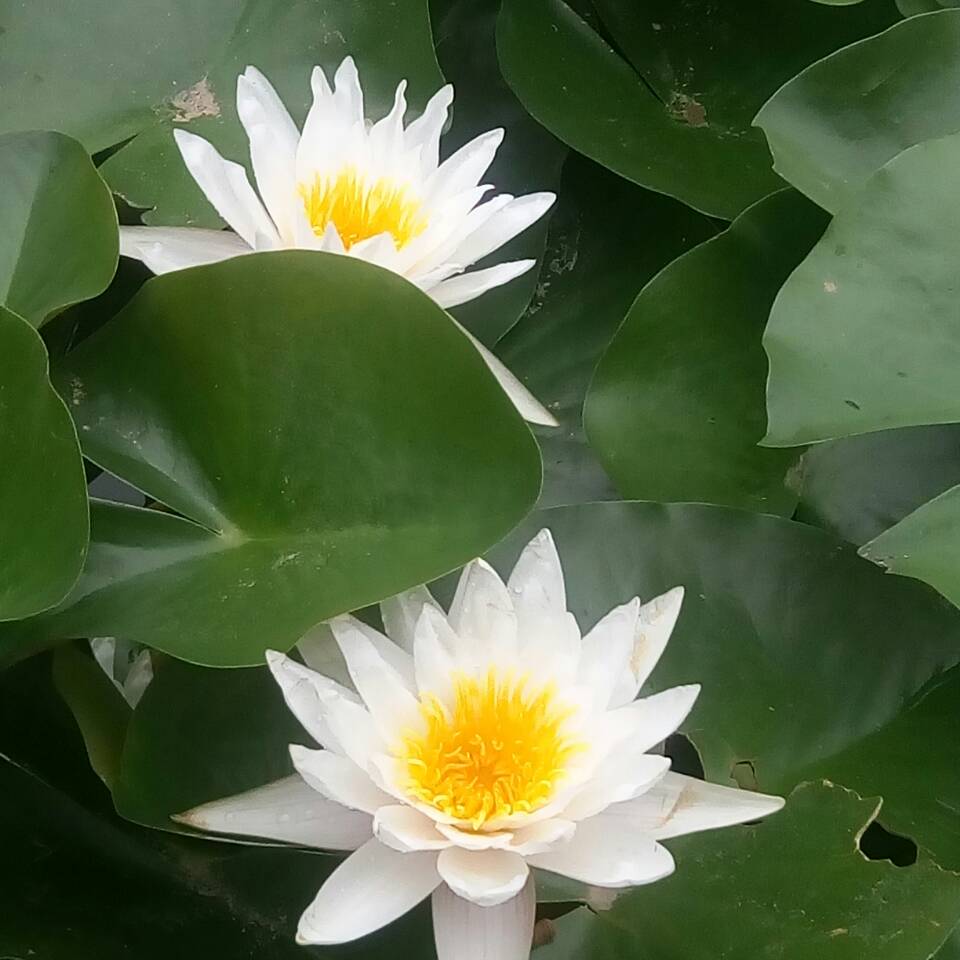 青春活力
