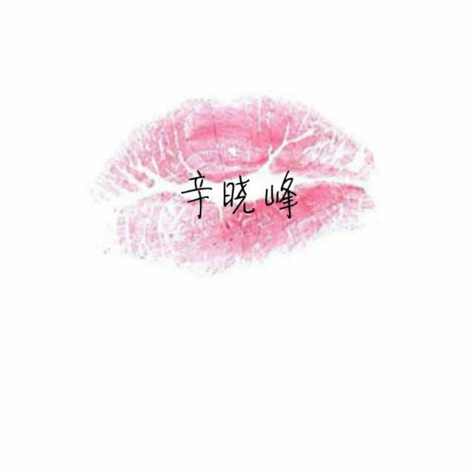 辛晓峰  18195082758