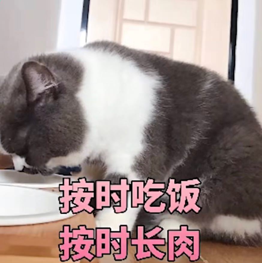 YUEHUA