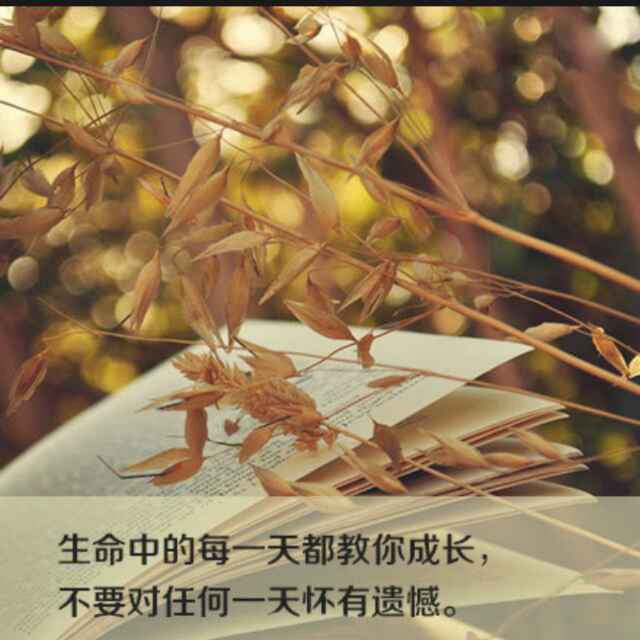 张枣的诗（修订本）