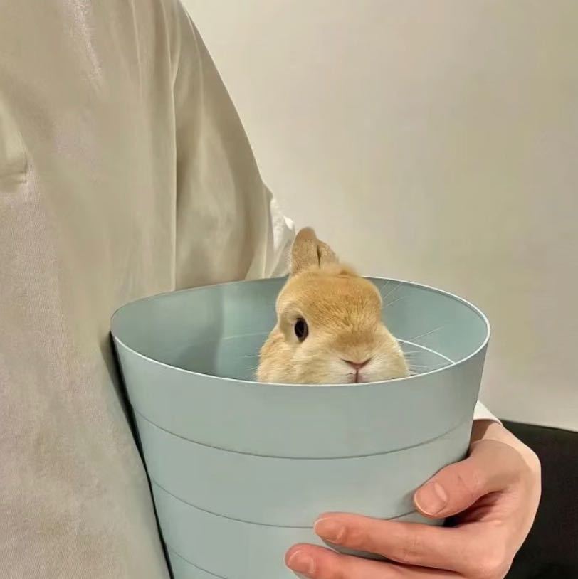 张兵