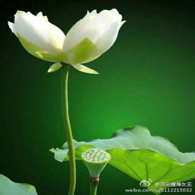 子均邓公酒庄