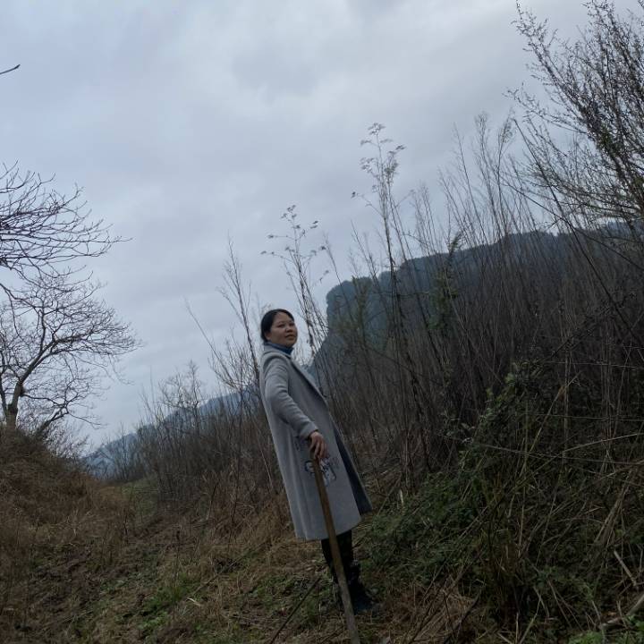 用戶頭像