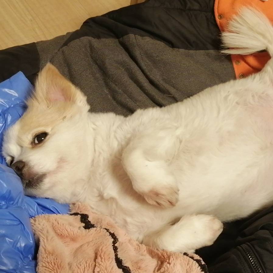 用戶頭像