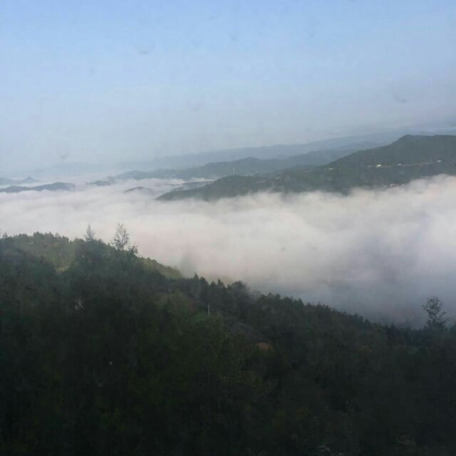 用戶頭像