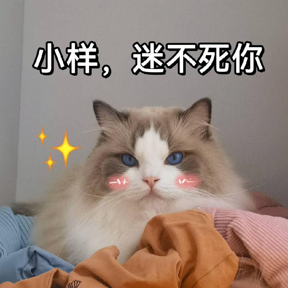 抱米发🐈