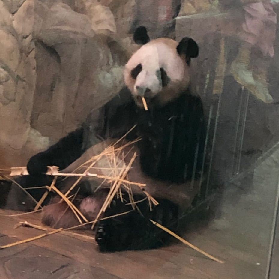 些子疏狂