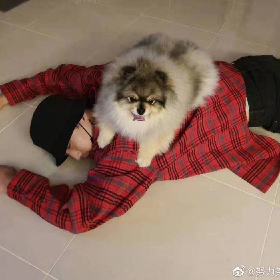 用戶頭像
