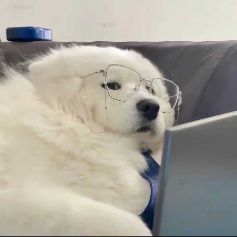 张白游
