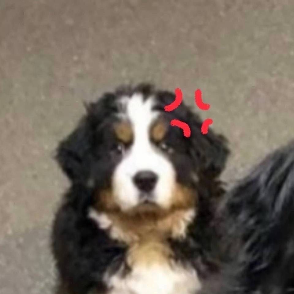 狗咩