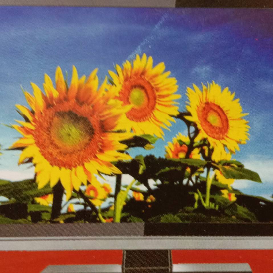 向阳而生幸福平安