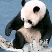 晚夜微雨问海棠ᯤ⁶ᴳ
