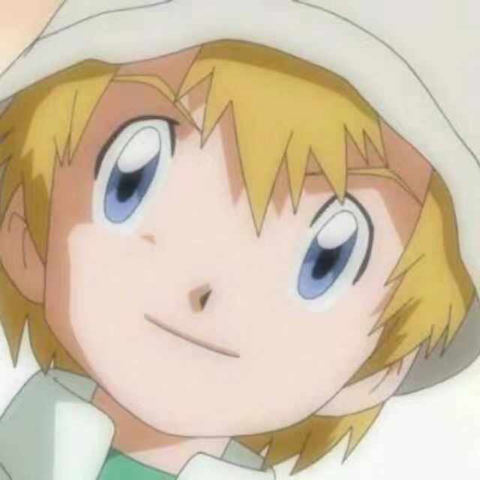 愤怒的小公鸡