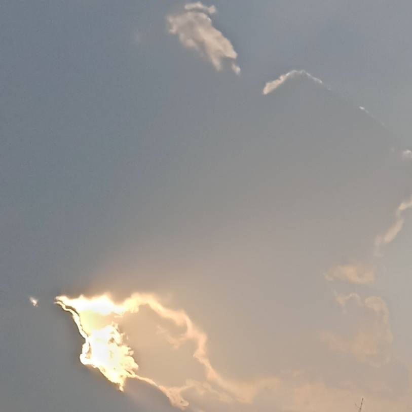 老王