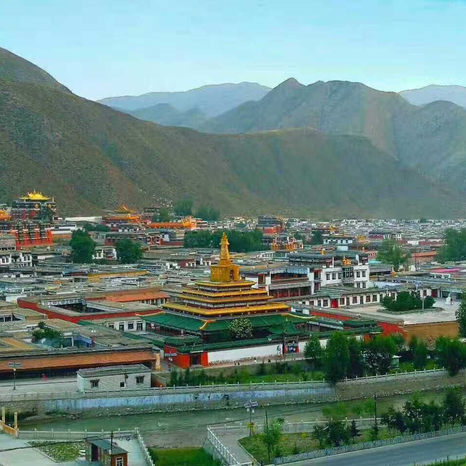 A00拉卜楞洁白丸+冬虫夏草