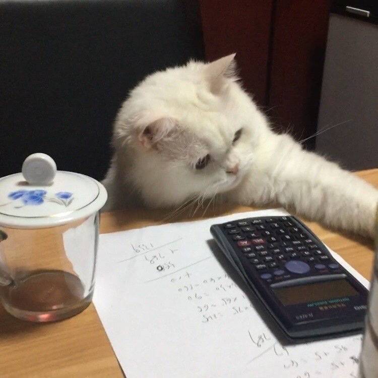 木白雨非
