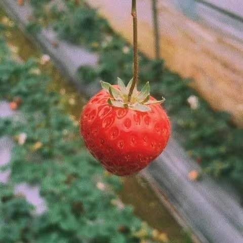 极客小程序-小慧