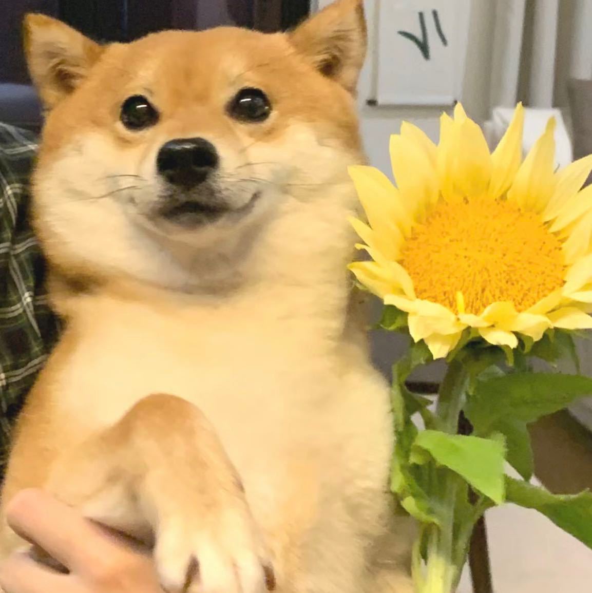 四.
