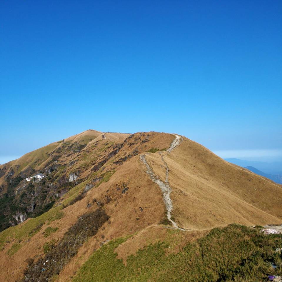 李网站建设推广