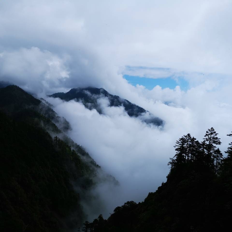 十年磨一剑