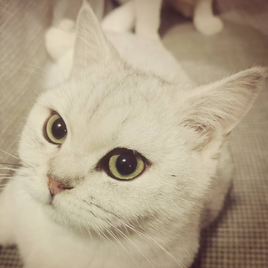 飞翔