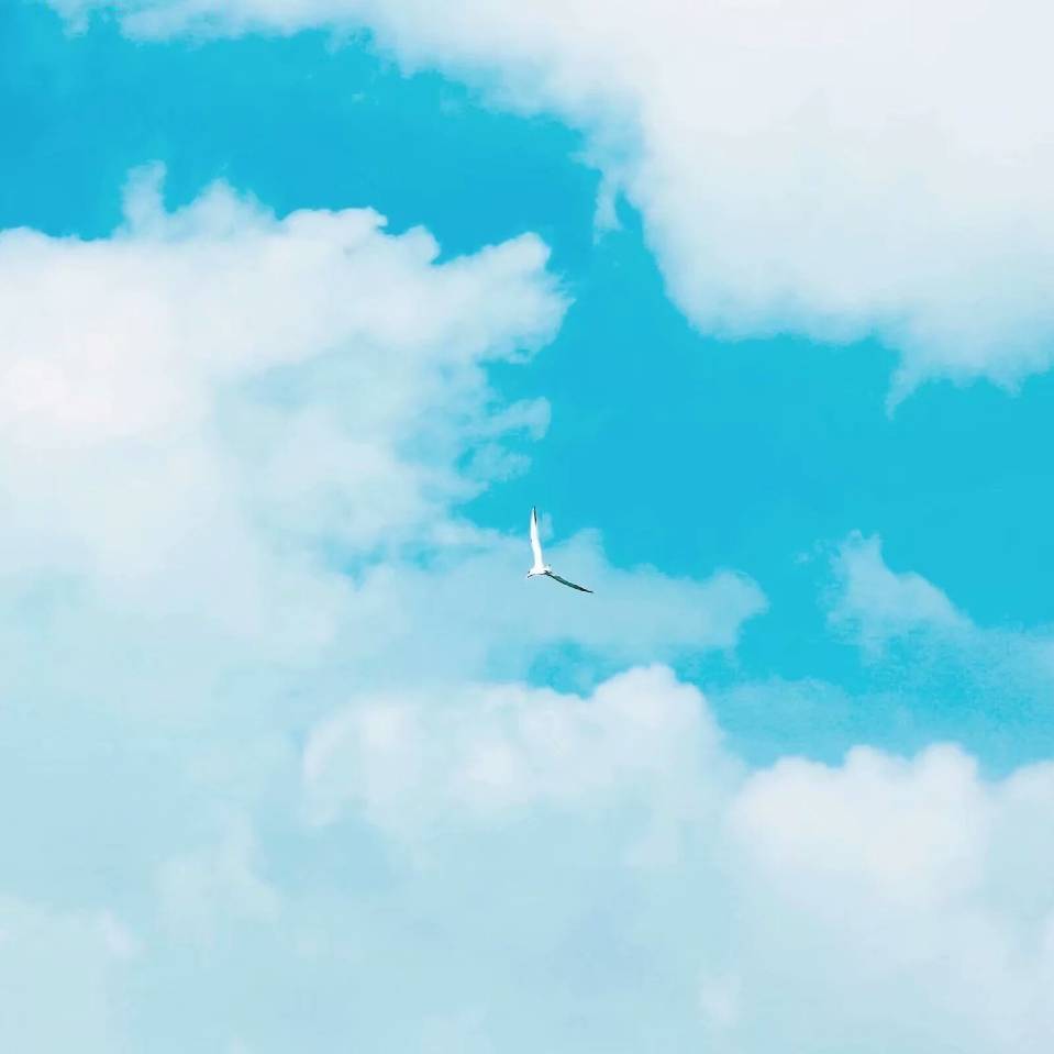 泉心依旧