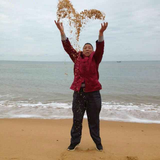 夏术章