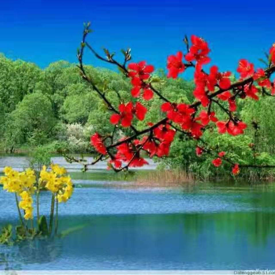 幸福有你程小丰18903415815